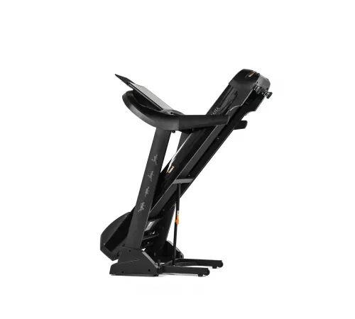 Беговая дорожка DFC SANTANA Pro T757